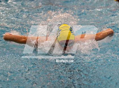 Thumbnail 2 in Candy Cane Invite photogallery.