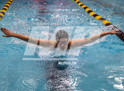 Thumbnail 3 in Candy Cane Invite photogallery.