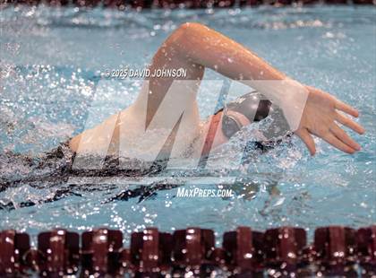 Thumbnail 1 in Candy Cane Invite photogallery.