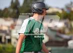 Photo from the gallery "St. Vincent de Paul @ St. Patrick-St. Vincent"