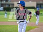 Photo from the gallery "St. Vincent de Paul @ St. Patrick-St. Vincent"