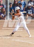 Photo from the gallery "Conifer @ Golden"