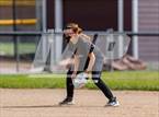 Photo from the gallery "Conifer @ Golden"