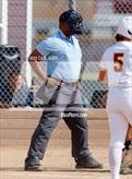 Photo from the gallery "Conifer @ Golden"