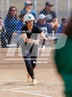 Photo from the gallery "Conifer @ Golden"