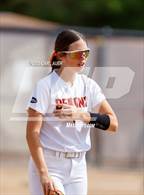 Photo from the gallery "Conifer @ Golden"