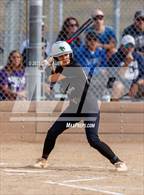 Photo from the gallery "Conifer @ Golden"