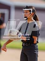 Photo from the gallery "Conifer @ Golden"