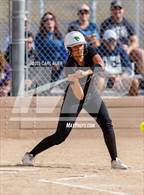 Photo from the gallery "Conifer @ Golden"