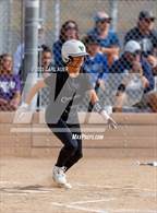 Photo from the gallery "Conifer @ Golden"