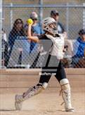Photo from the gallery "Conifer @ Golden"