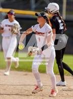Photo from the gallery "Conifer @ Golden"