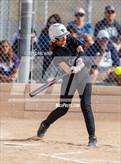 Photo from the gallery "Conifer @ Golden"