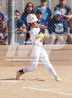 Photo from the gallery "Conifer @ Golden"