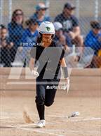 Photo from the gallery "Conifer @ Golden"