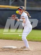 Photo from the gallery "Conifer @ Golden"