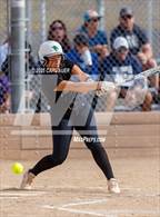 Photo from the gallery "Conifer @ Golden"