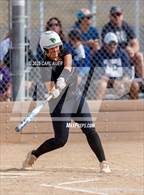 Photo from the gallery "Conifer @ Golden"