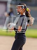 Photo from the gallery "Conifer @ Golden"
