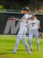Photo from the gallery "Conifer @ Golden"