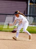 Photo from the gallery "Conifer @ Golden"