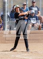 Photo from the gallery "Conifer @ Golden"