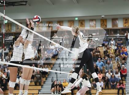 Thumbnail 2 in Archbishop Mitty vs. Saint Francis (CIFCCS Open Championship) photogallery.
