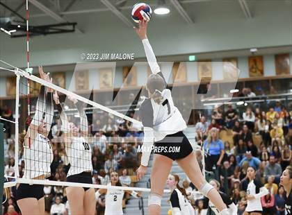 Thumbnail 2 in Archbishop Mitty vs. Saint Francis (CIFCCS Open Championship) photogallery.