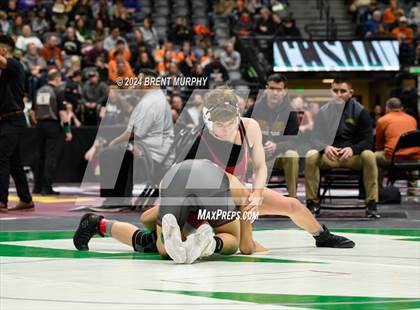 Thumbnail 3 in CHSAA State Championship - 4A Quarterfinals photogallery.
