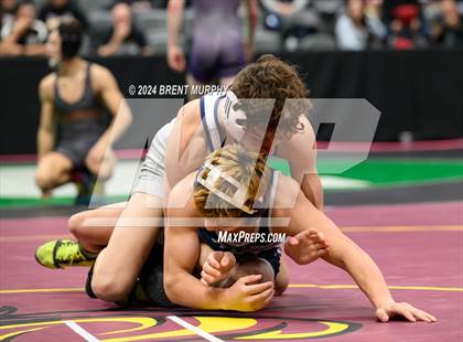 Thumbnail 1 in CHSAA State Championship - 4A Quarterfinals photogallery.