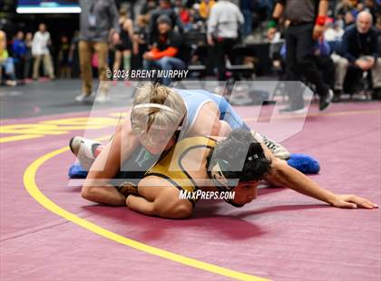 Thumbnail 3 in CHSAA State Championship - 4A Quarterfinals photogallery.