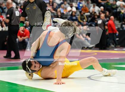 Thumbnail 2 in CHSAA State Championship - 4A Quarterfinals photogallery.