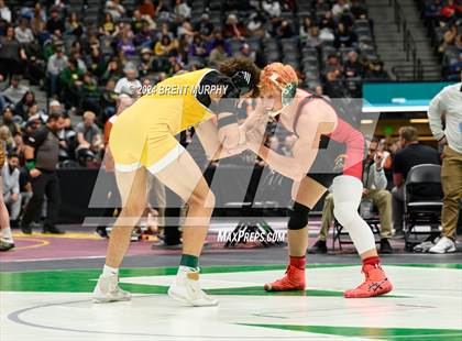 Thumbnail 2 in CHSAA State Championship - 4A Quarterfinals photogallery.