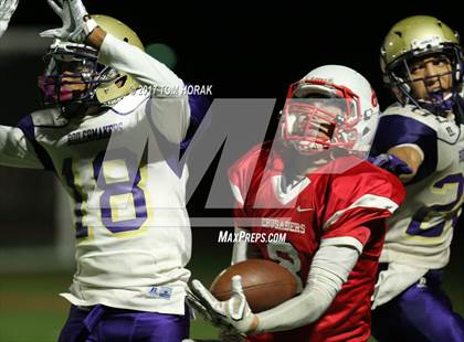Thumbnail 1 in Garfield @ Elmwood Park photogallery.