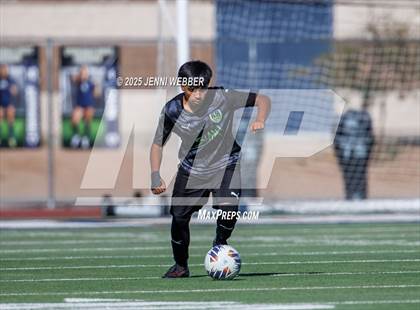 Thumbnail 1 in Sports Leadership & Management vs. Sunrise Mountain (NIAA 4A Final) photogallery.