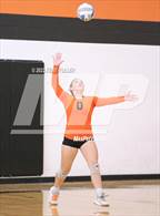 Photo from the gallery "Fraser @ Utica"