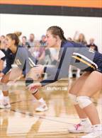 Photo from the gallery "Fraser @ Utica"