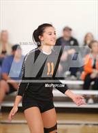 Photo from the gallery "Fraser @ Utica"