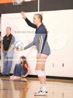 Photo from the gallery "Fraser @ Utica"