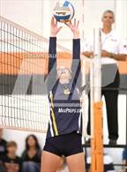 Photo from the gallery "Fraser @ Utica"
