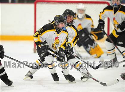 Thumbnail 2 in North Haven @ Amity photogallery.
