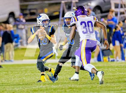 Thumbnail 1 in Daphne @ Fairhope photogallery.