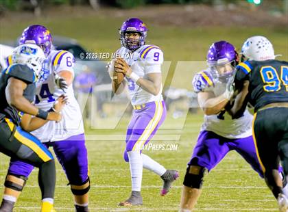 Thumbnail 1 in Daphne @ Fairhope photogallery.