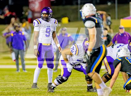 Thumbnail 1 in Daphne @ Fairhope photogallery.