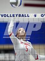 Photo from the gallery "St. John's @ Bishop O'Connell"