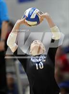 Photo from the gallery "St. John's @ Bishop O'Connell"