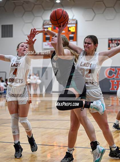 Thumbnail 3 in Caldwell vs Taylor photogallery.