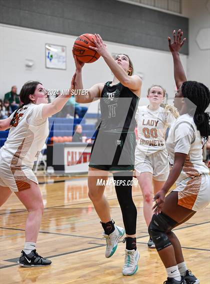 Thumbnail 3 in Caldwell vs Taylor photogallery.
