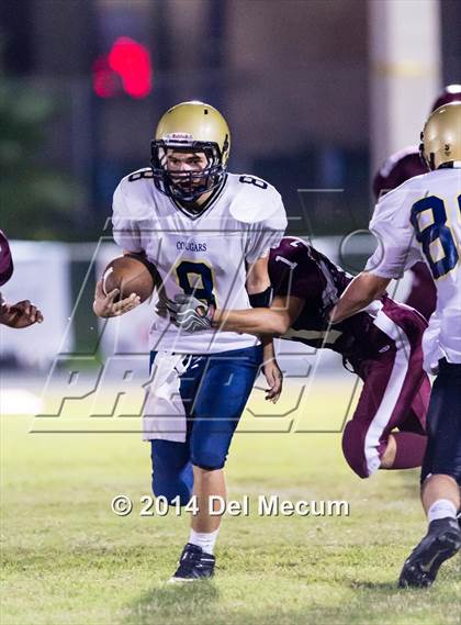Thumbnail 3 in Durant @ Brandon photogallery.