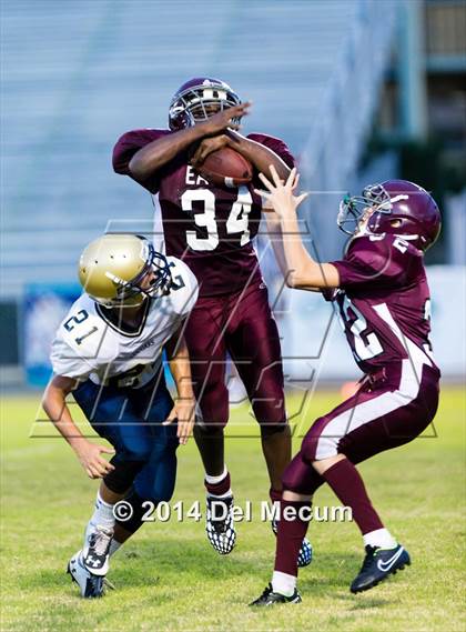 Thumbnail 3 in Durant @ Brandon photogallery.